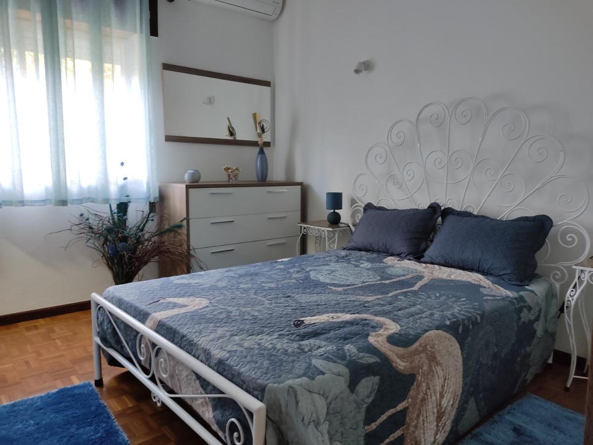 Casa Dos Avos Villa โวเซลา ภายนอก รูปภาพ