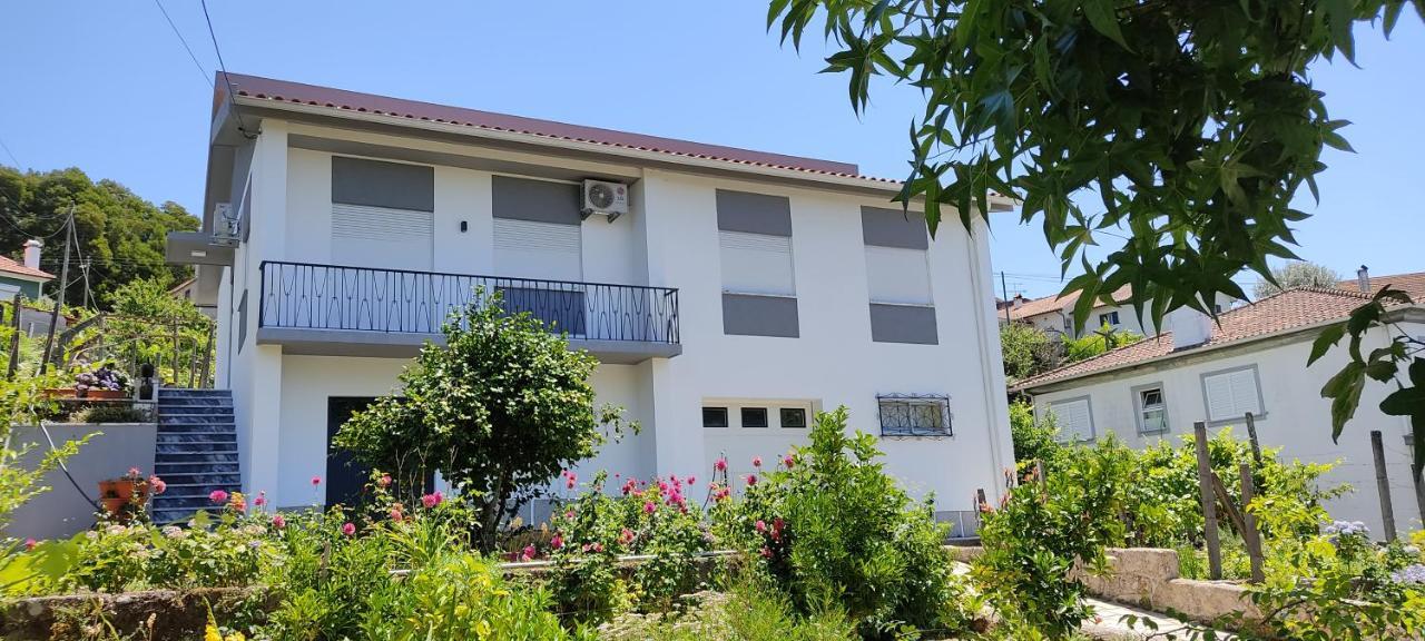 Casa Dos Avos Villa โวเซลา ภายนอก รูปภาพ